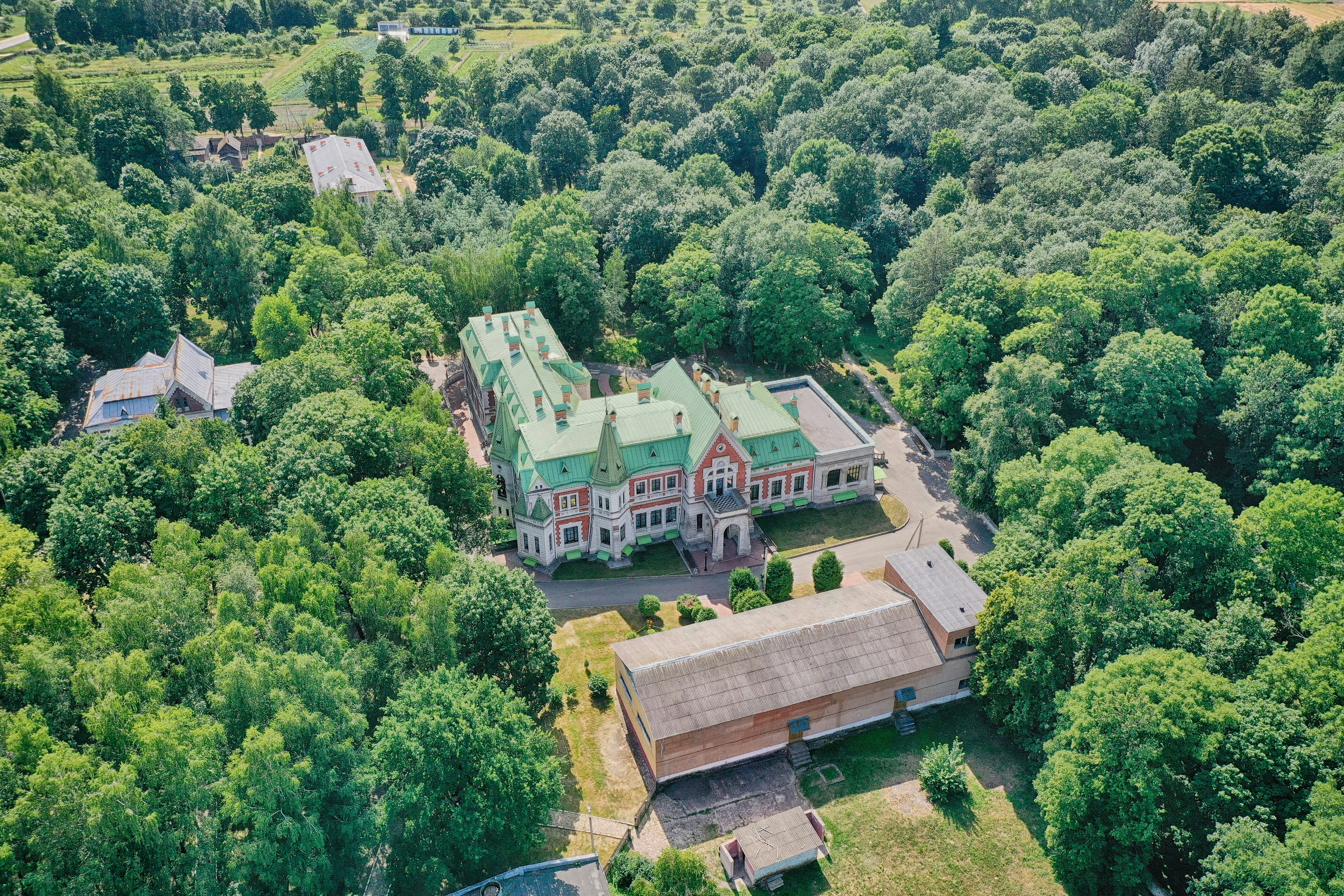 aerial view of green trees and houses during daytime