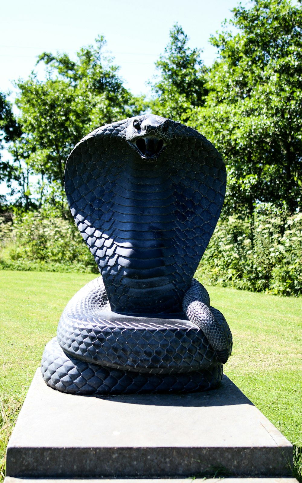 estátua da cobra preta e cinzenta no campo verde da grama durante o dia