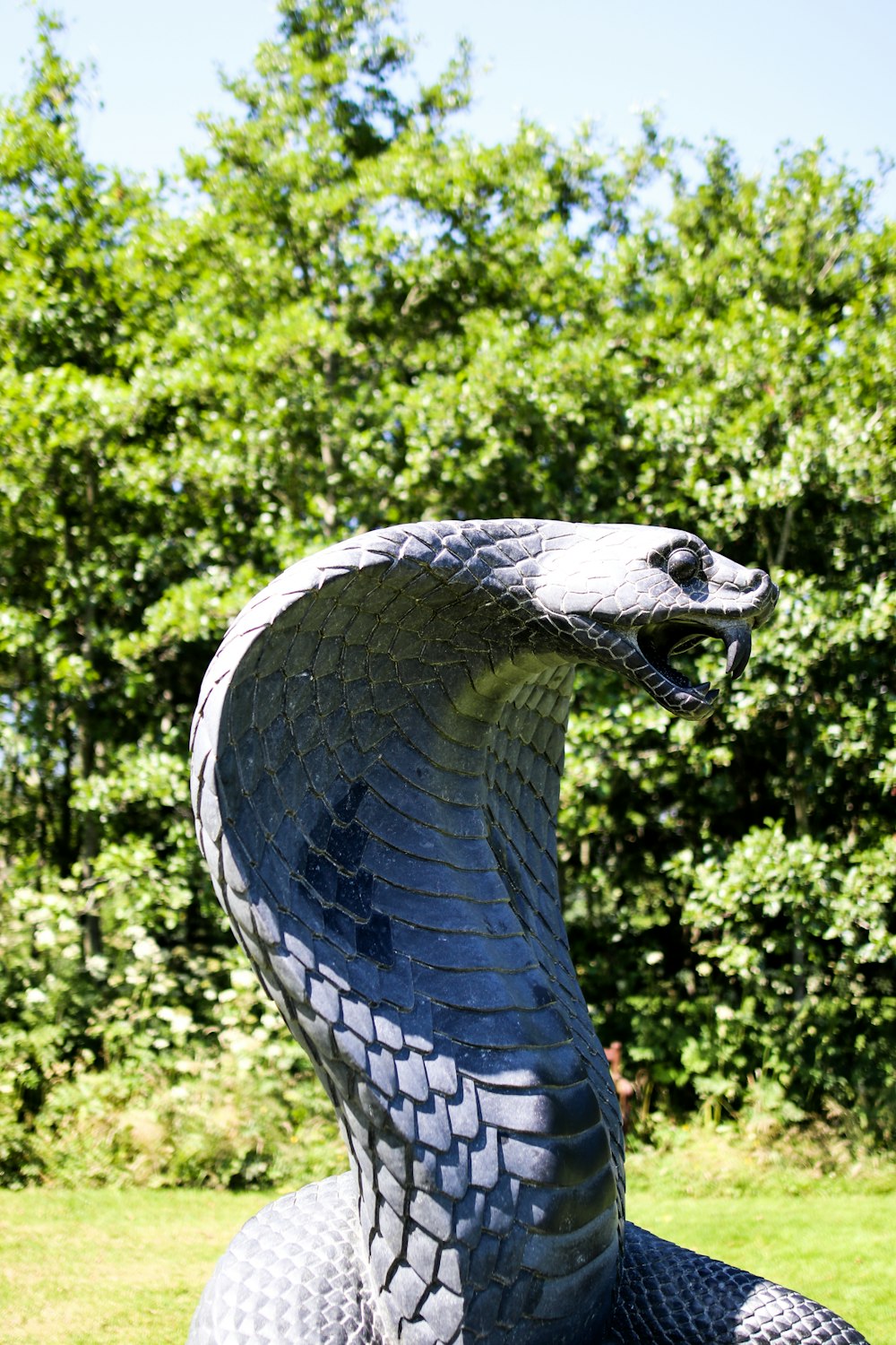 estátua do pássaro preto e branco