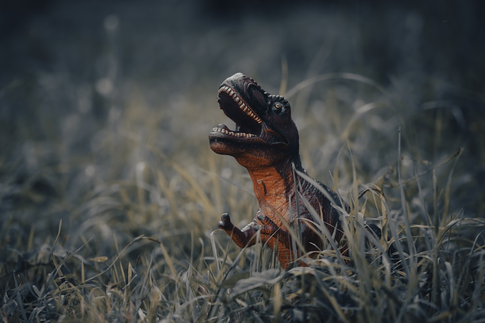 brown and black crocodile on green grass during daytime