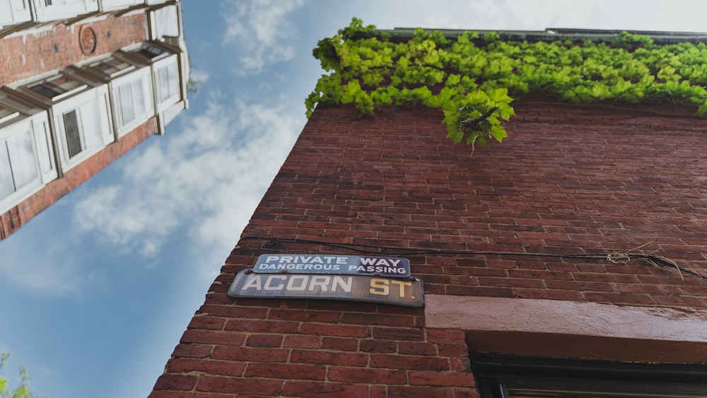 brown brick building with green tree