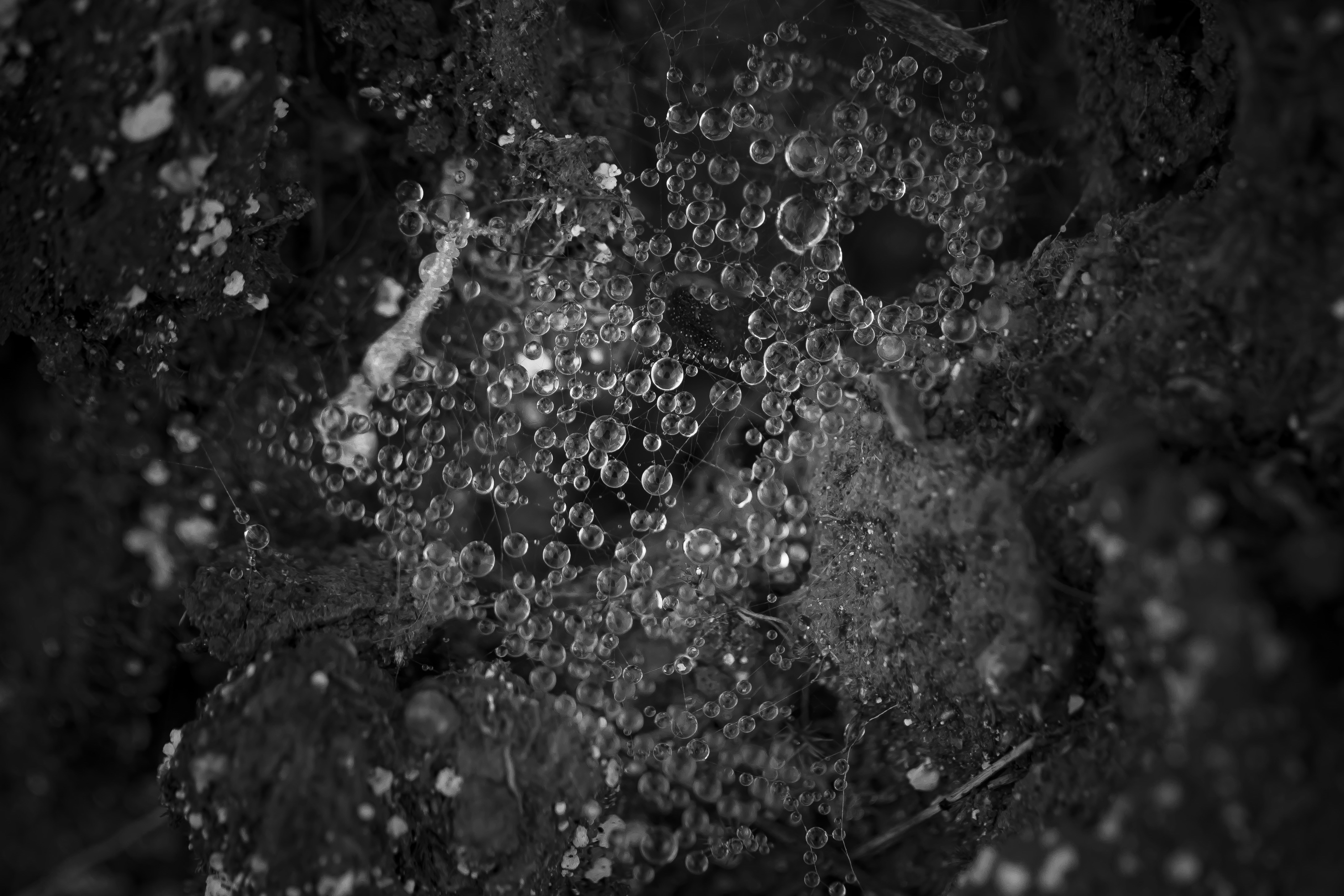 Photo by viajeenparacaidas