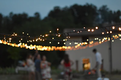 yellow string lights during night time