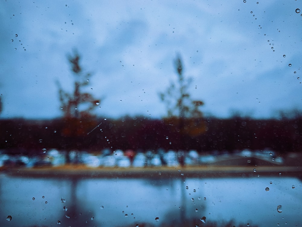 body of water near trees during daytime