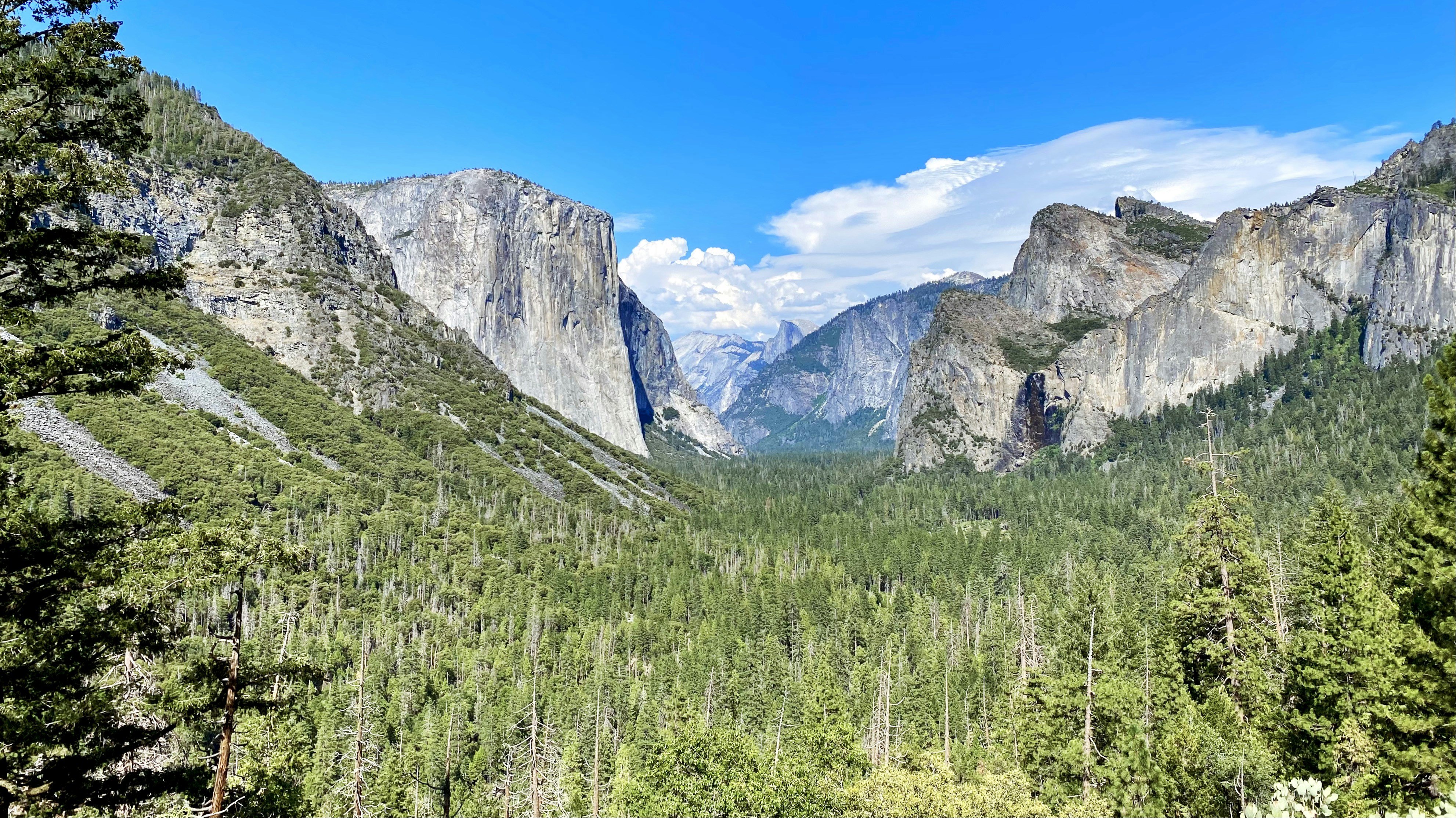 Photo by dannysphotos