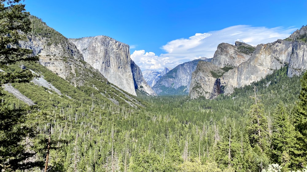 green trees near gray mountain under blue sky during daytime