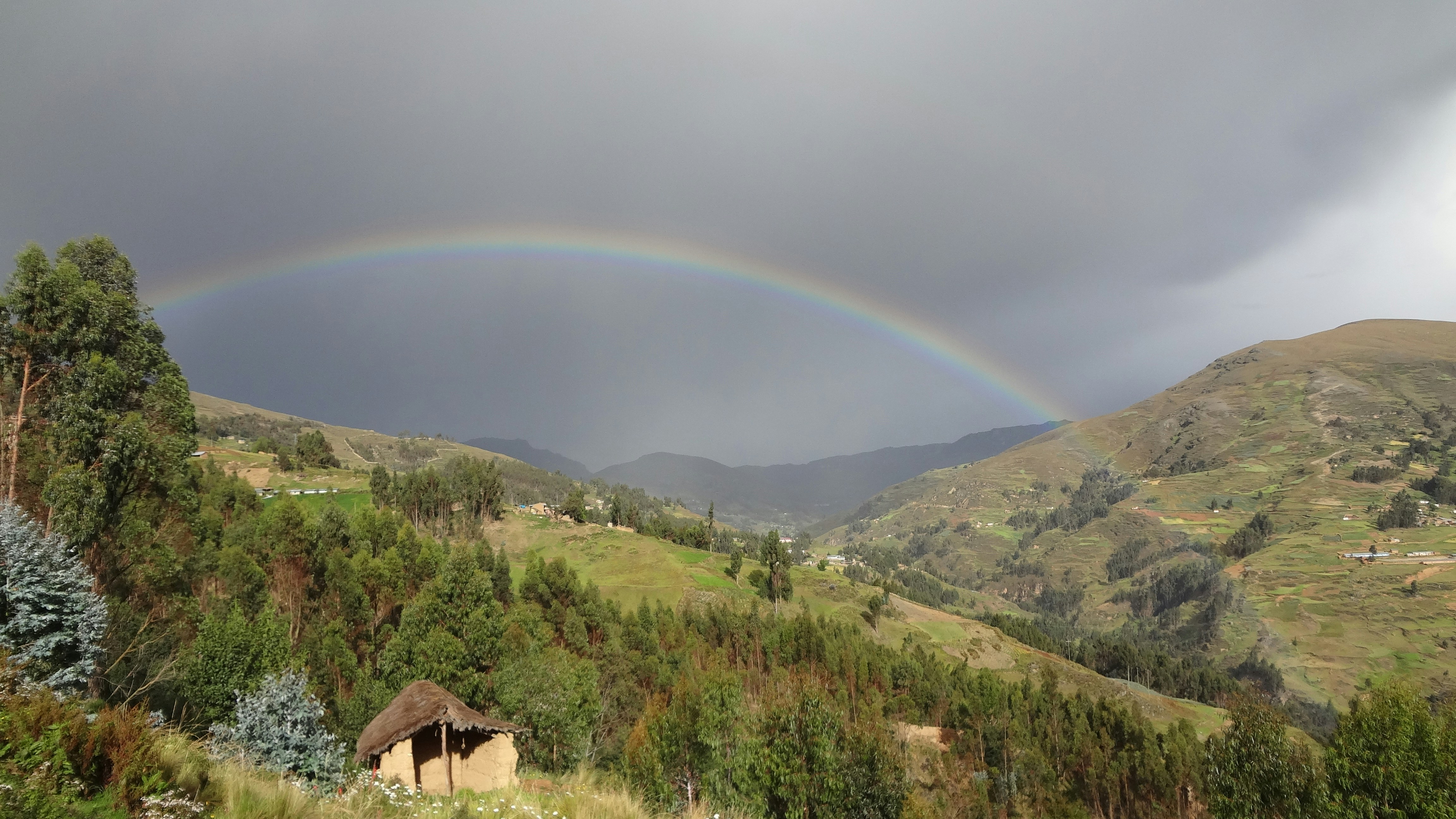 green grass field under rainbow