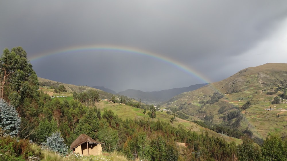 green grass field under rainbow