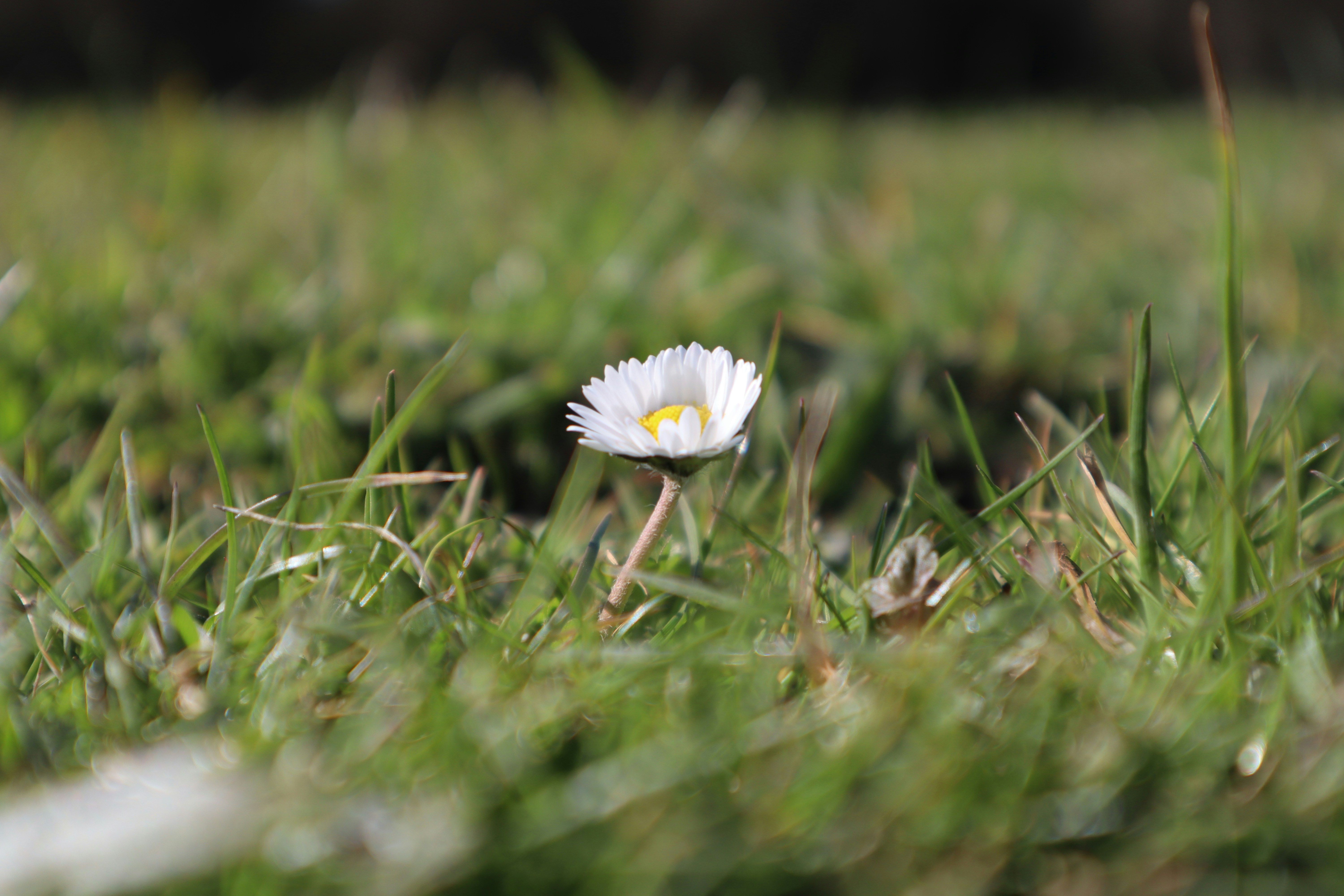 Photo by st235