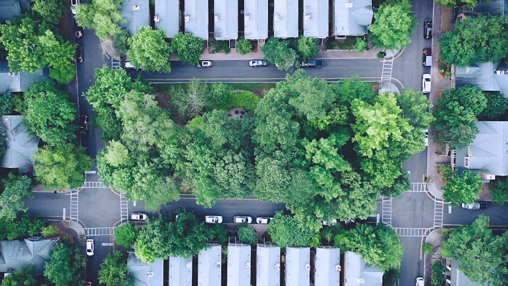 green trees and white building during daytime