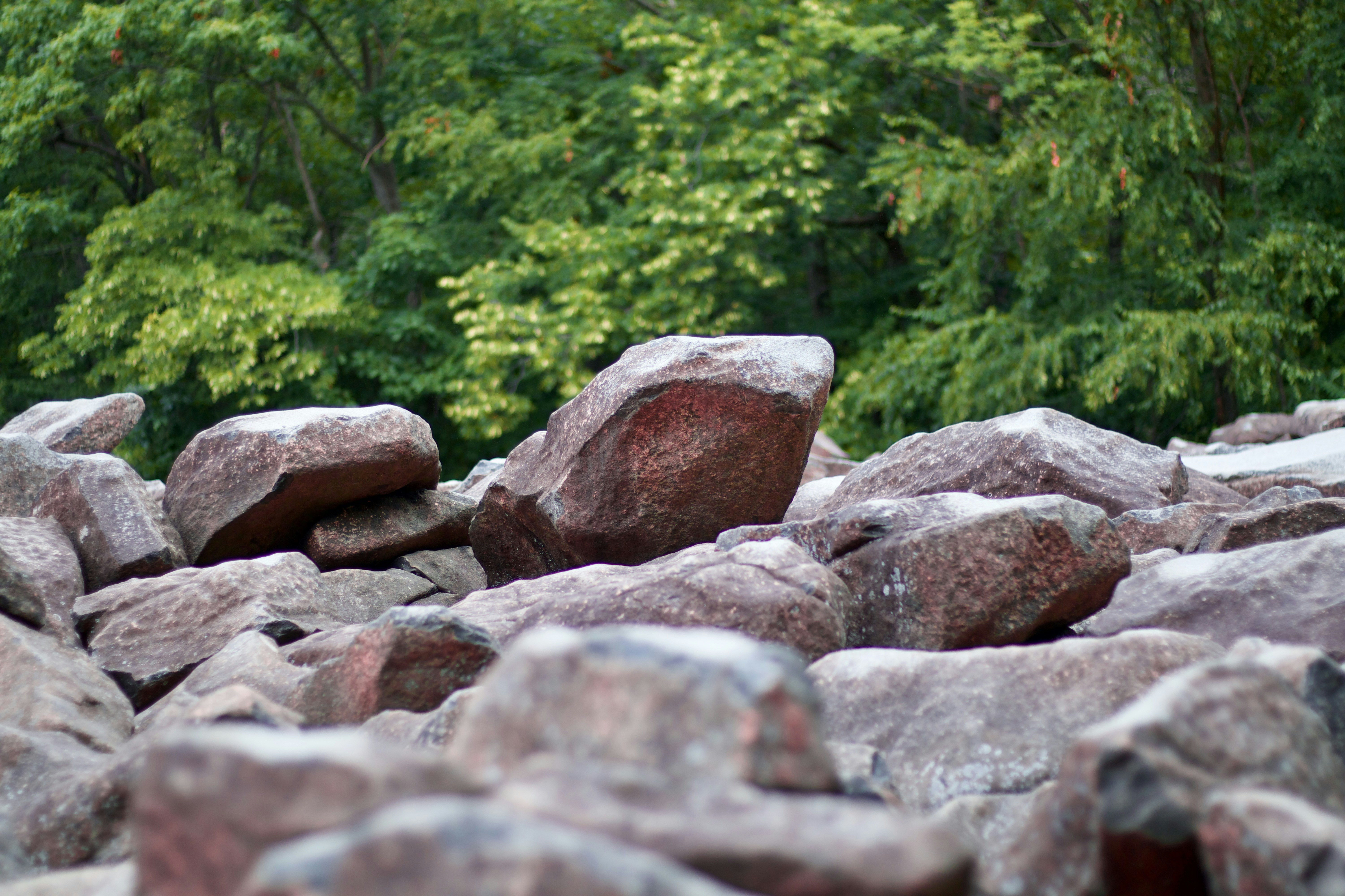 brown and gray rocks near green trees during daytime