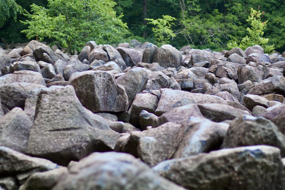 Rocas grises cerca de árboles verdes durante el día