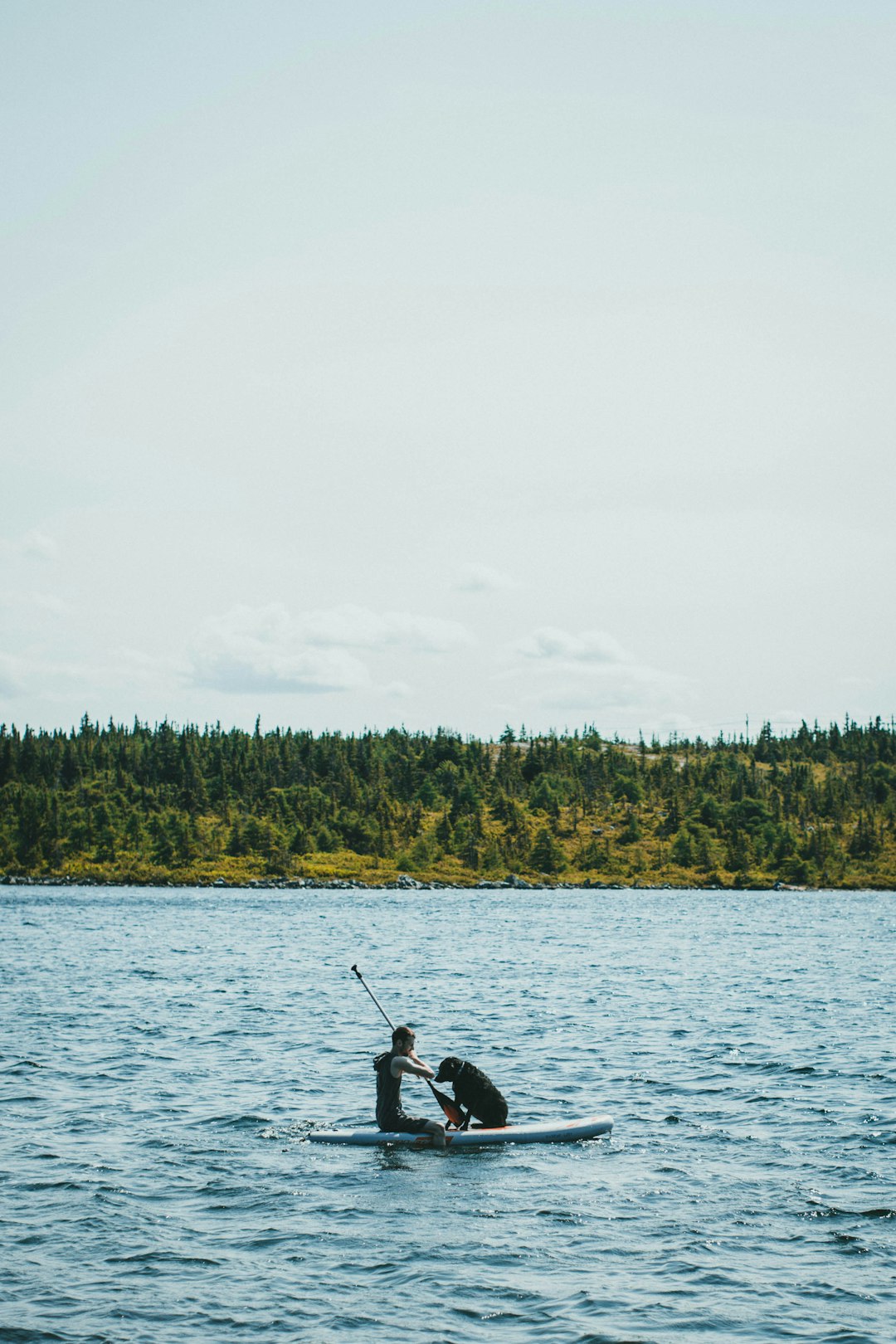 person fishing on lake during daytime