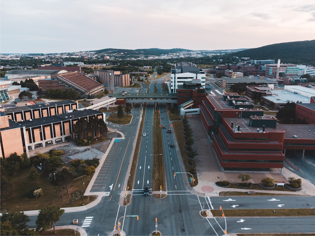 cars on road near buildings during daytime