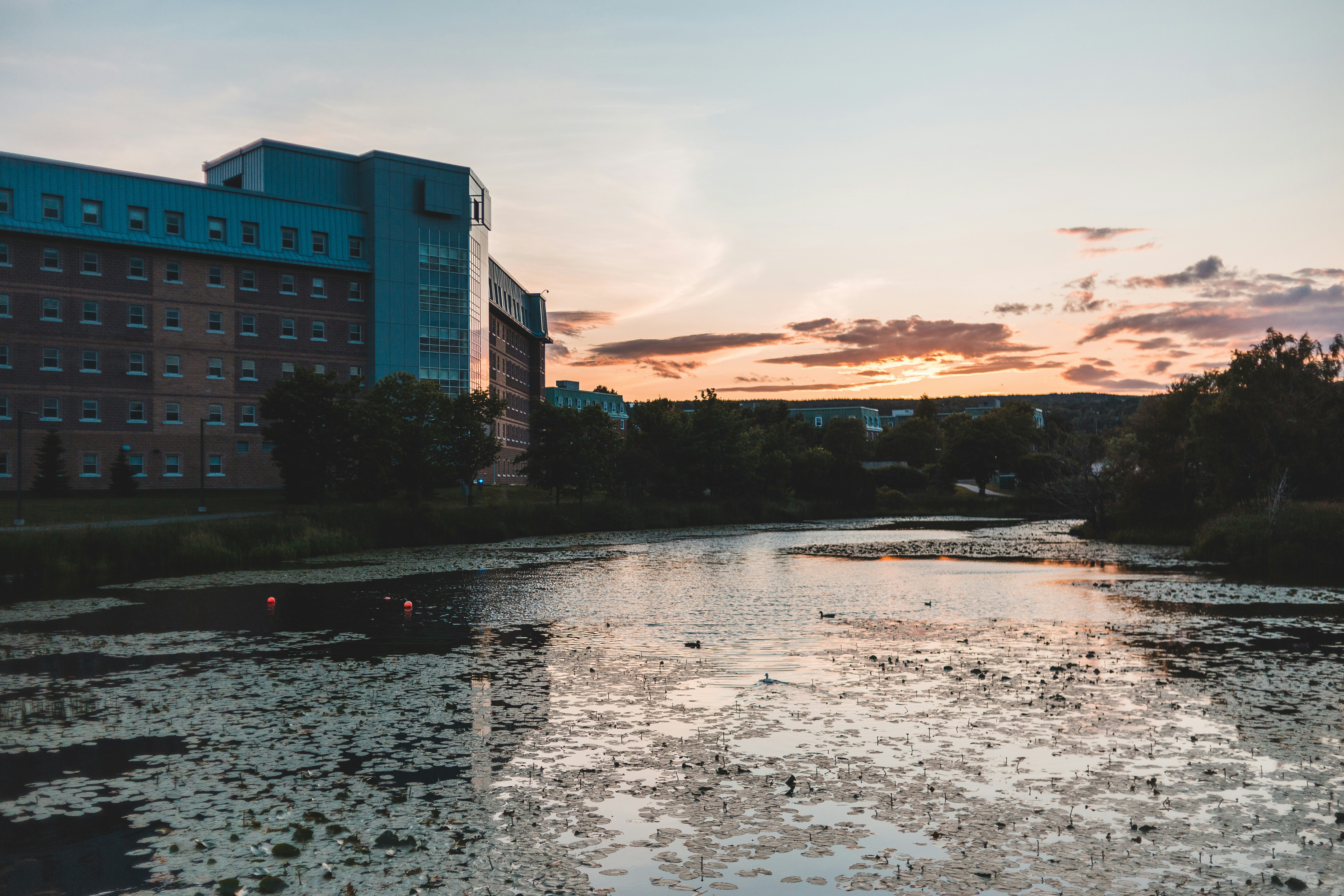 Photo by introspectivedsgn