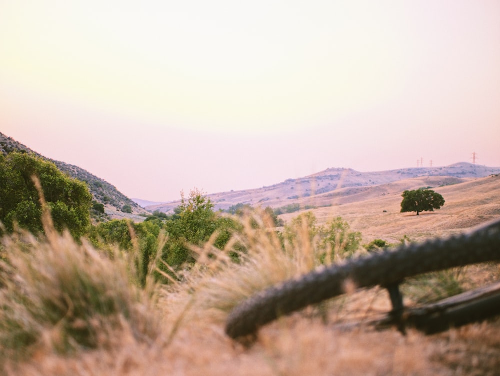 green grass field near mountain during daytime