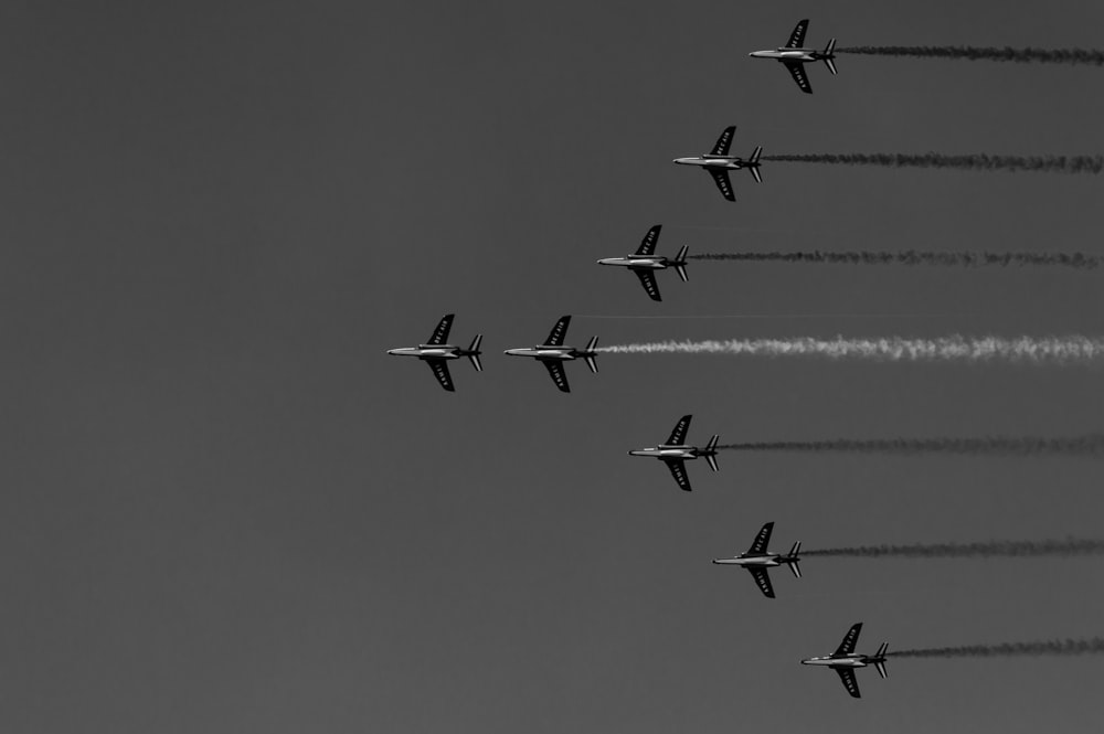 flock of birds flying on sky