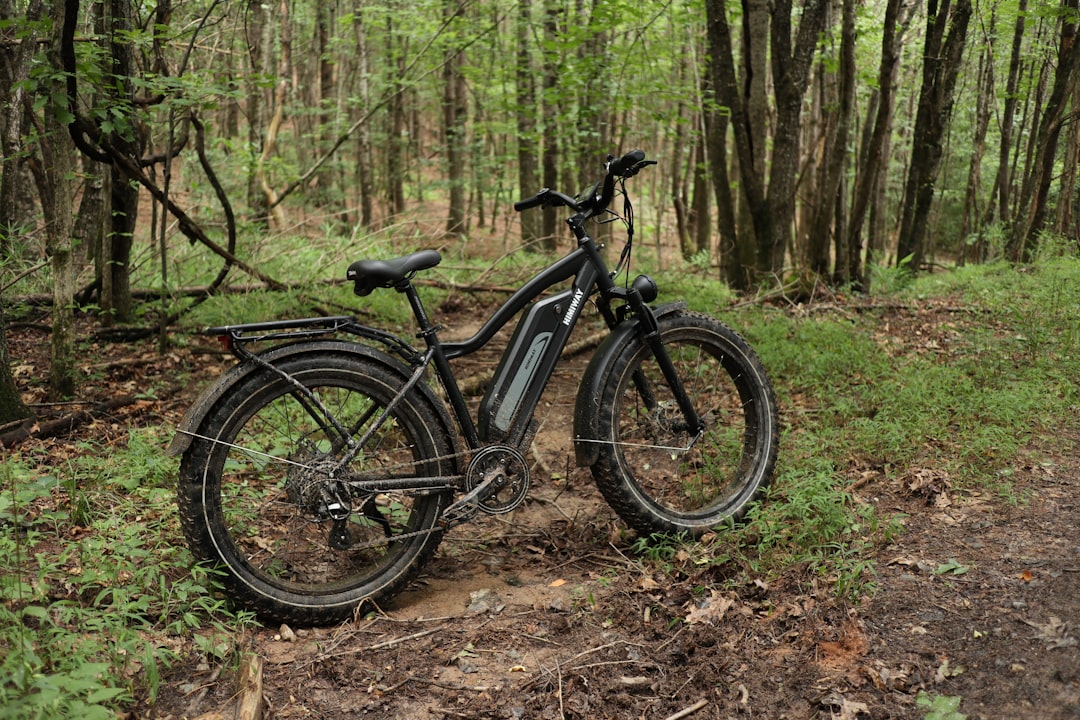 black and gray mountain bike on forest during daytime