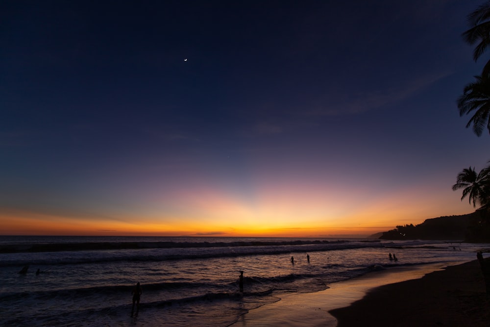 a sunset on a beach with palm trees