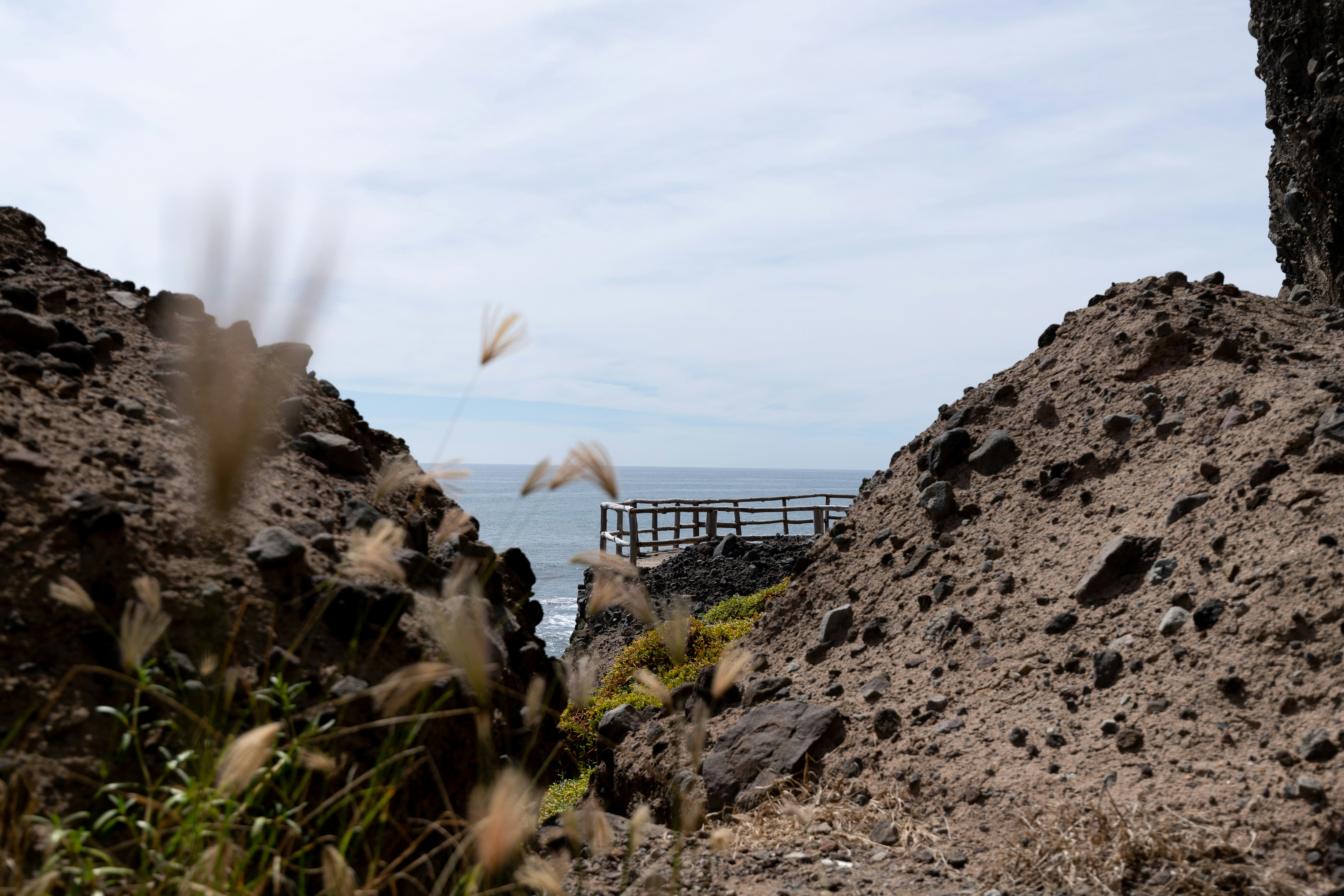 낮에는 갈색 바위 산에 갈색 나무 울타리
