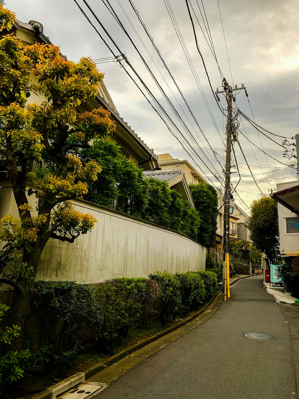 a street lined with houses and power lines