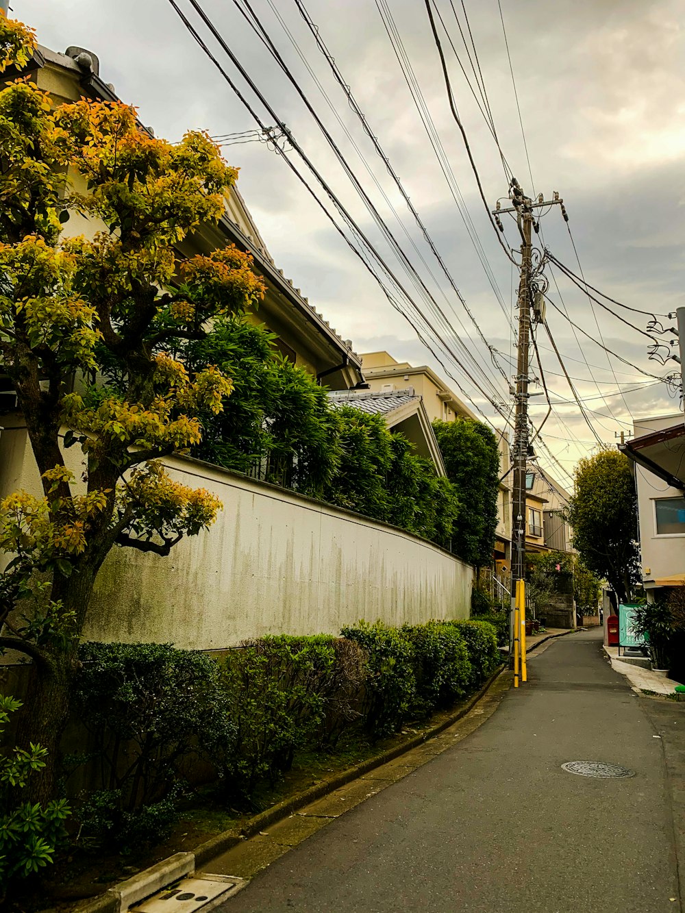 uma rua ladeada por casas e linhas de energia