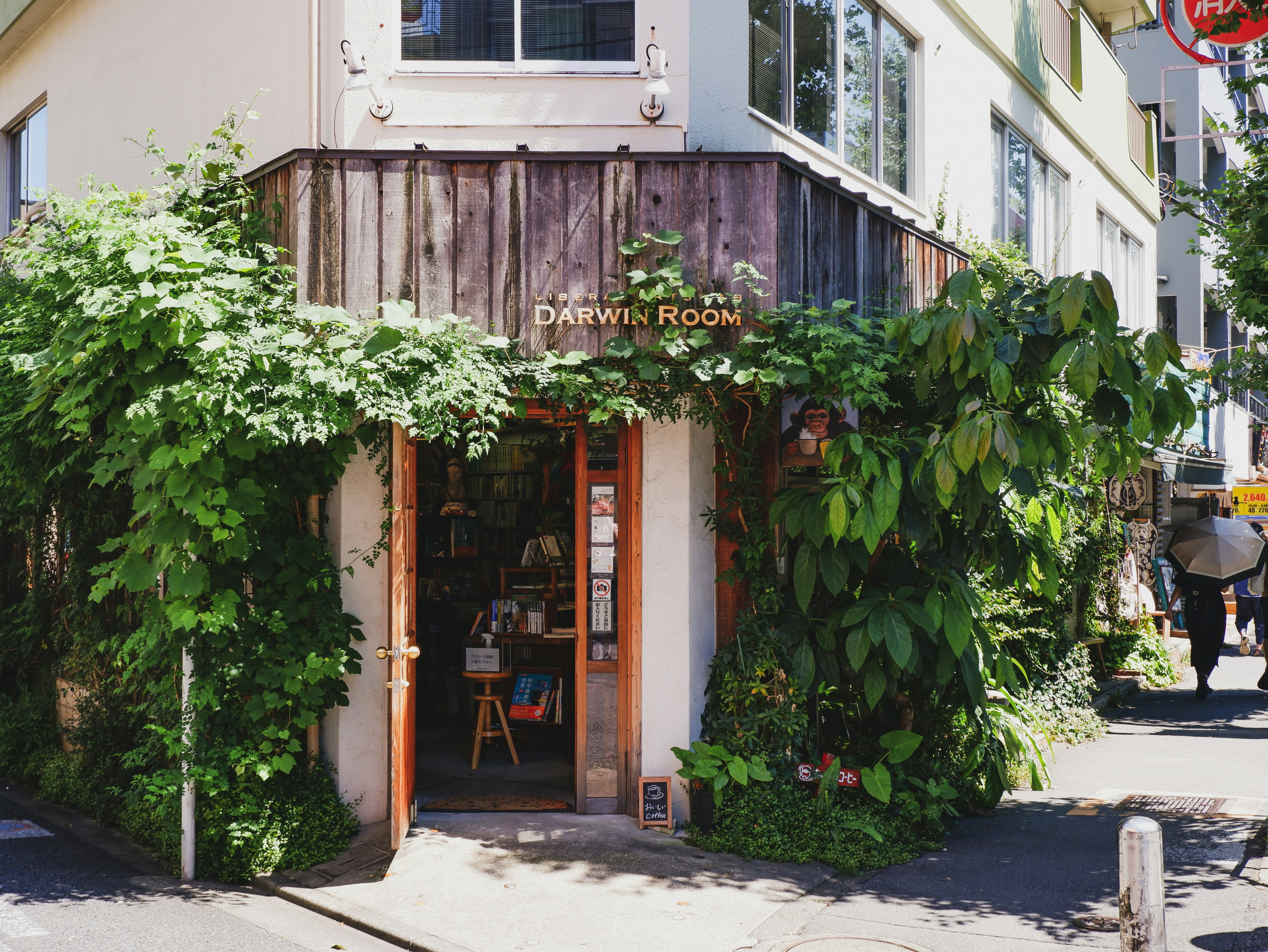 Photo by susannschuster