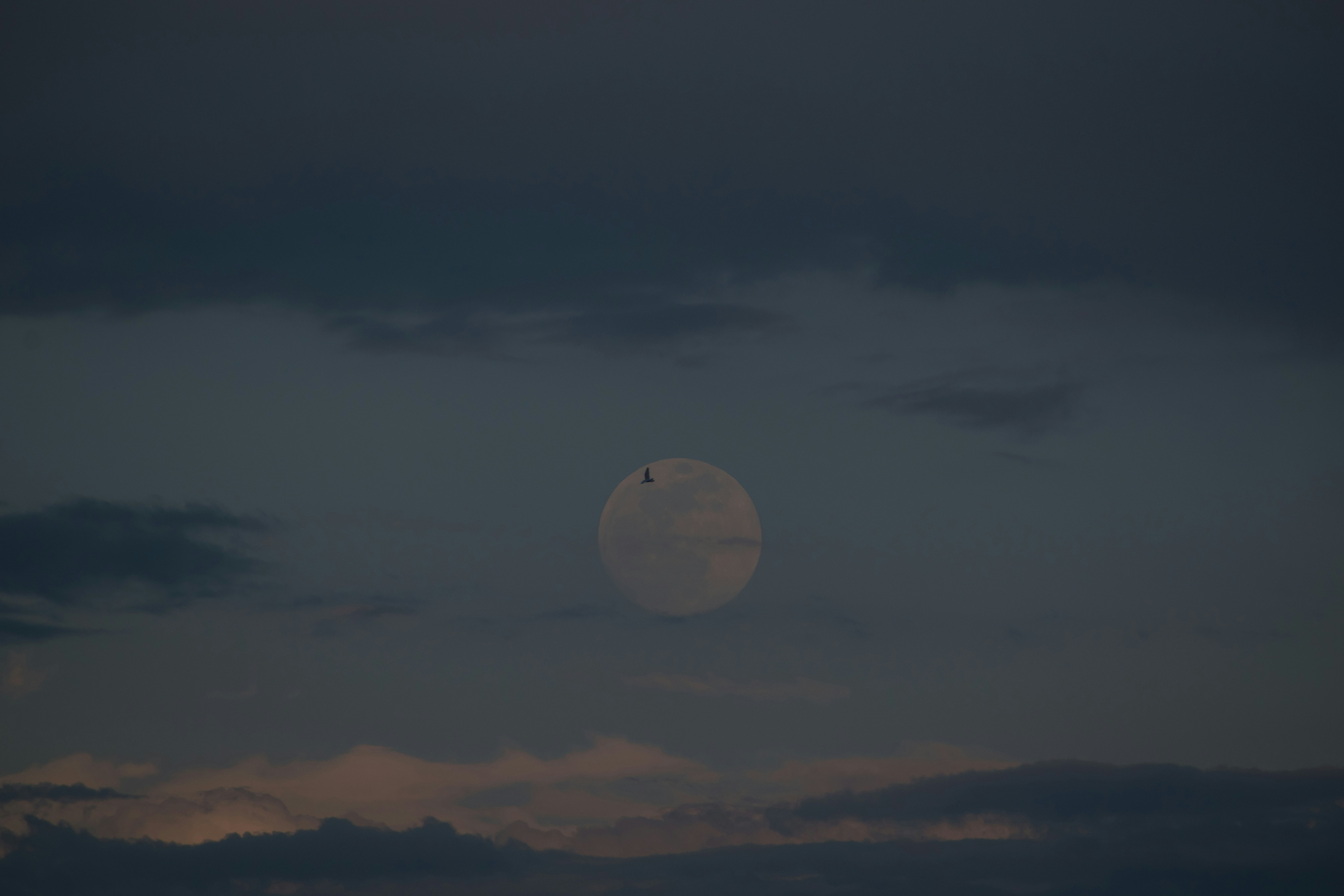 Photo by ahmadsuhail