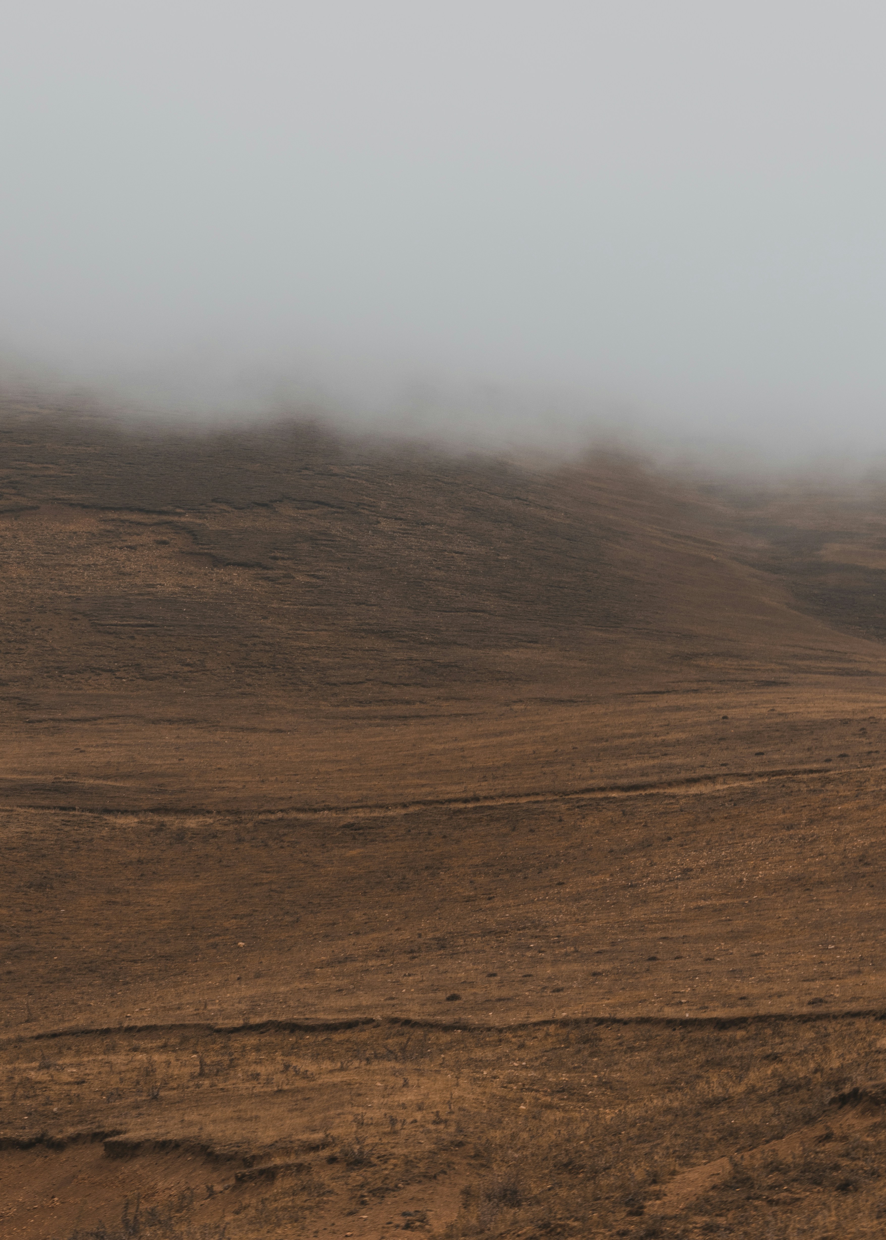 Photo by amirvisuals