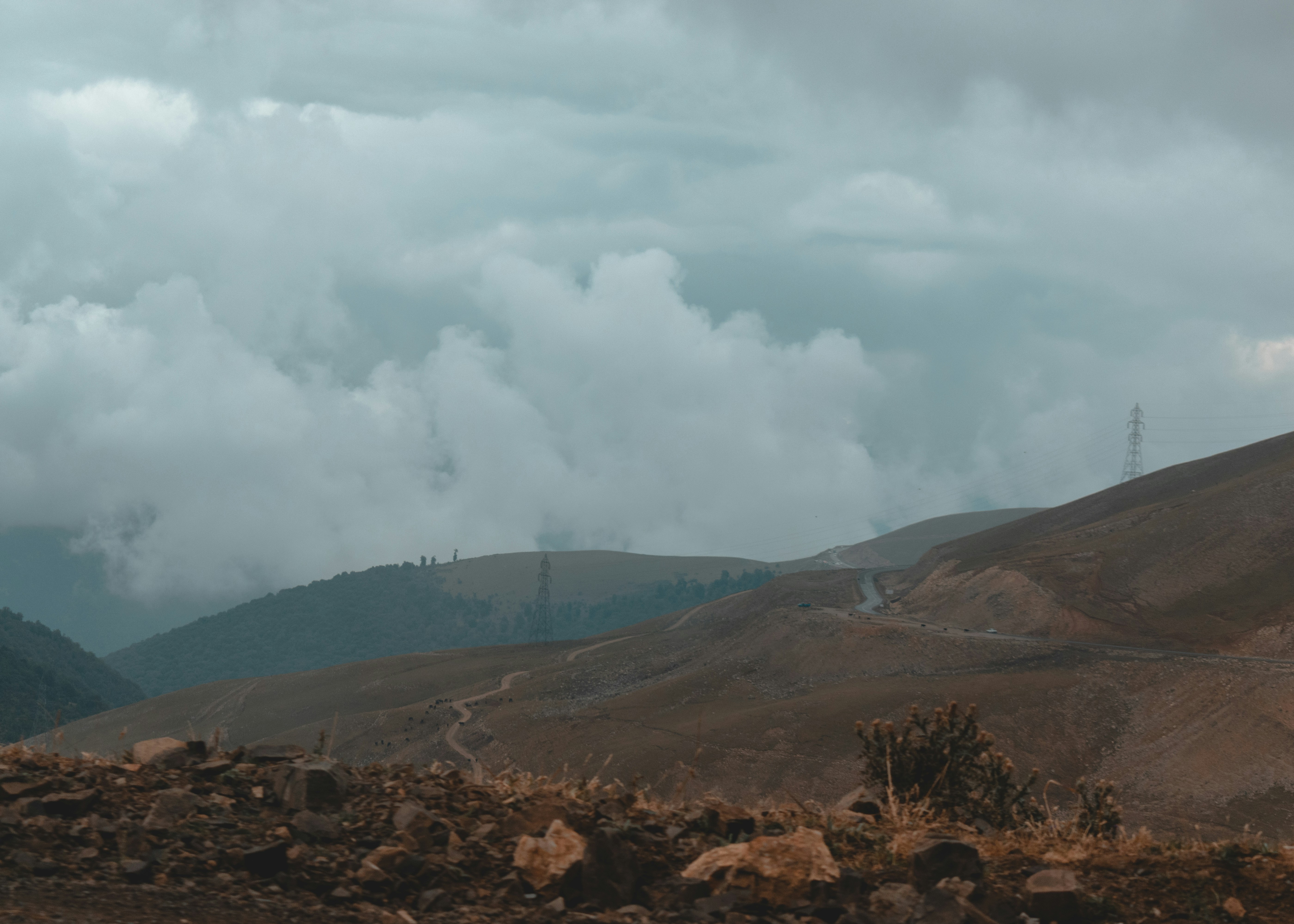 Photo by amirvisuals