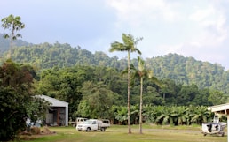 white suv parked near green trees during daytime