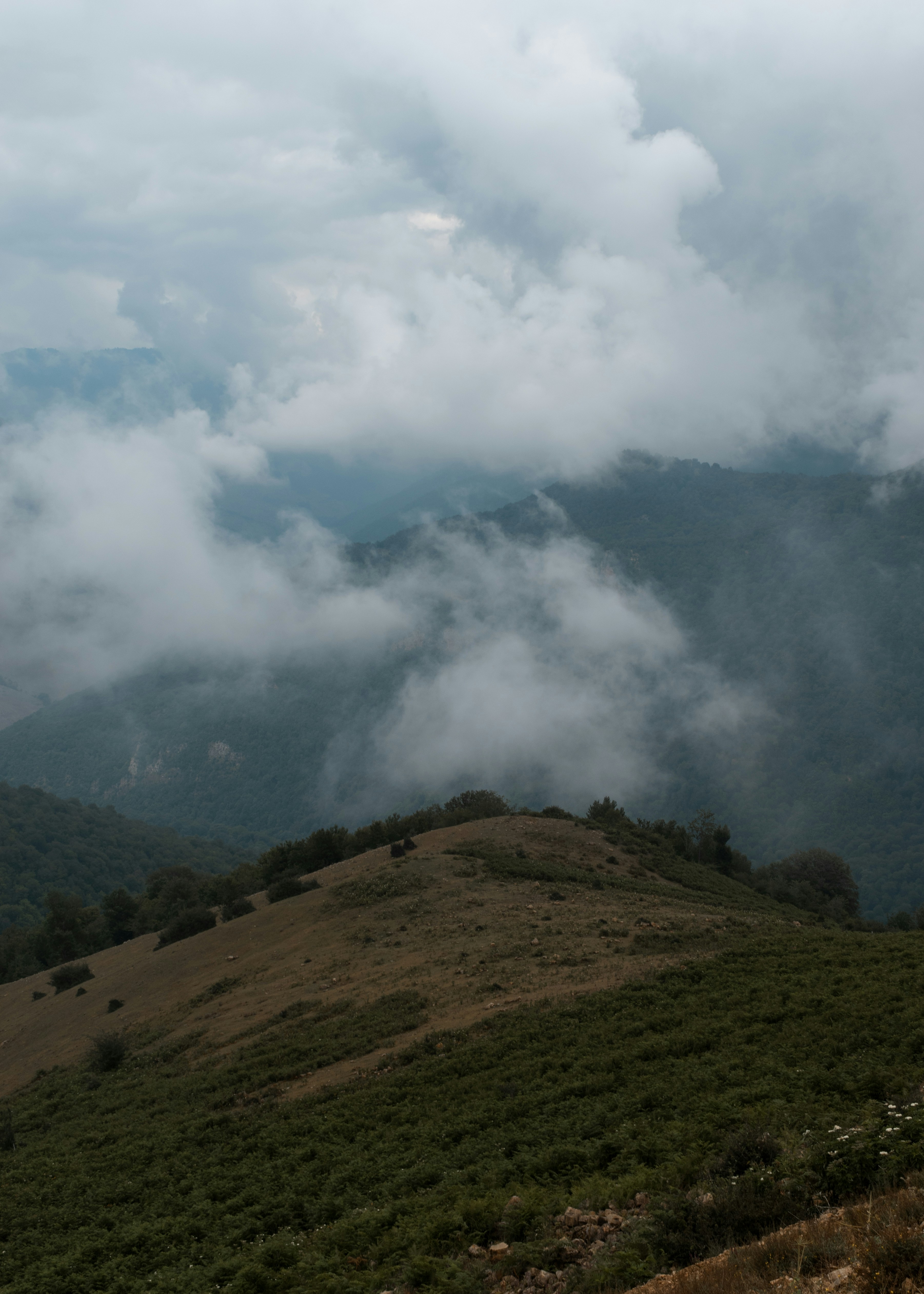 Photo by amirvisuals