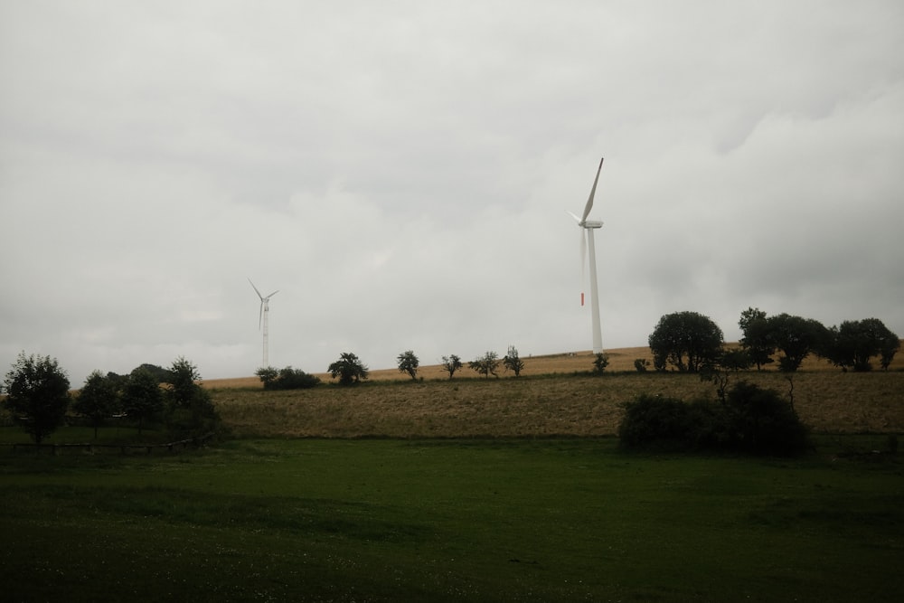 green grass field with trees under white sky during daytime