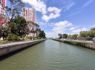 A city canal flanked by red and white residential buildings with lush green trees on either side. The water appears calm under a bright blue sky with fluffy white clouds. The right side features a street with parked buses and more trees lining the road.