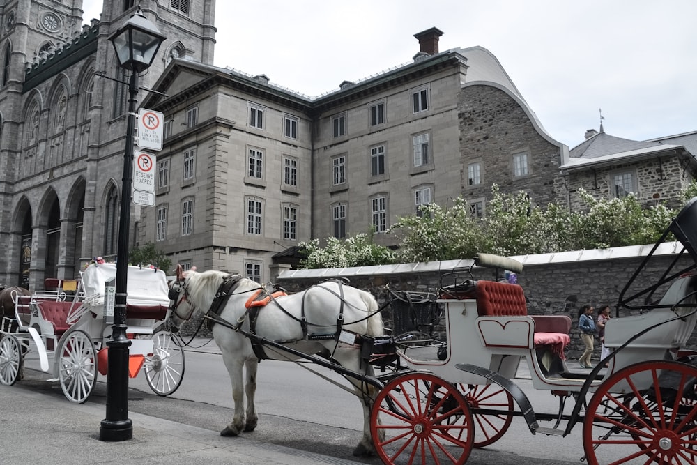 white horse with red carriage in front of brown concrete building during daytime