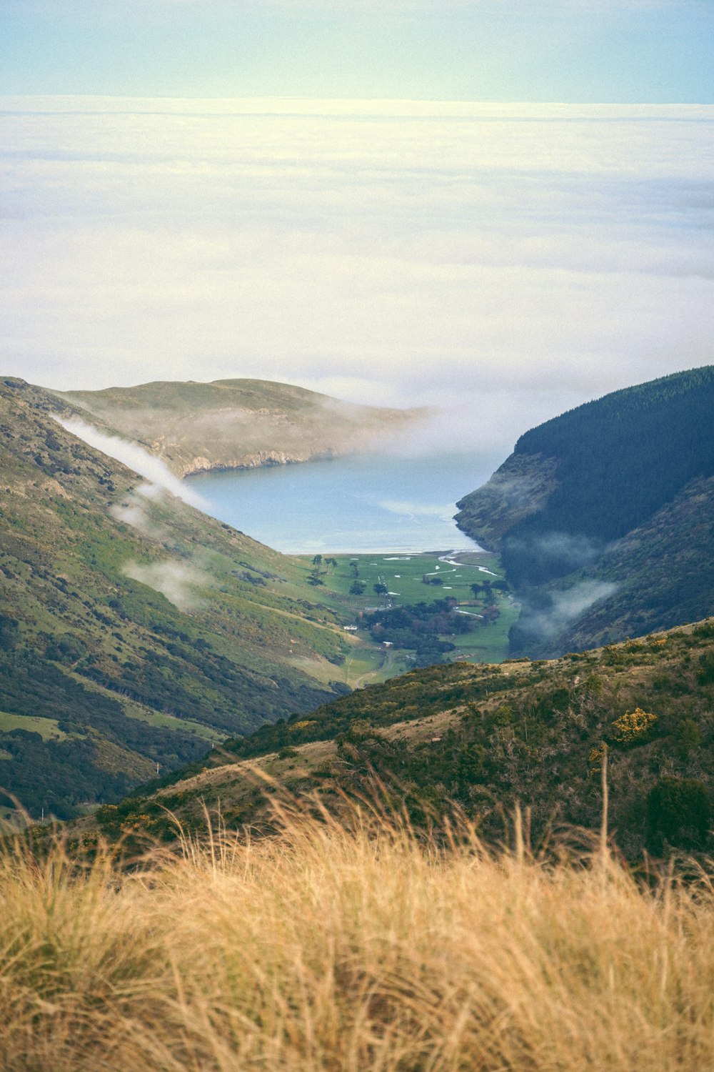 green mountains and river during daytime