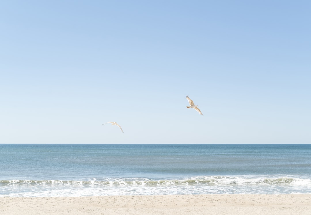 7 Hidden Hiking Trails in Montauk's Camp Hero State Park From Coast… — 7 Hidden Hiking Trails in Montauk's