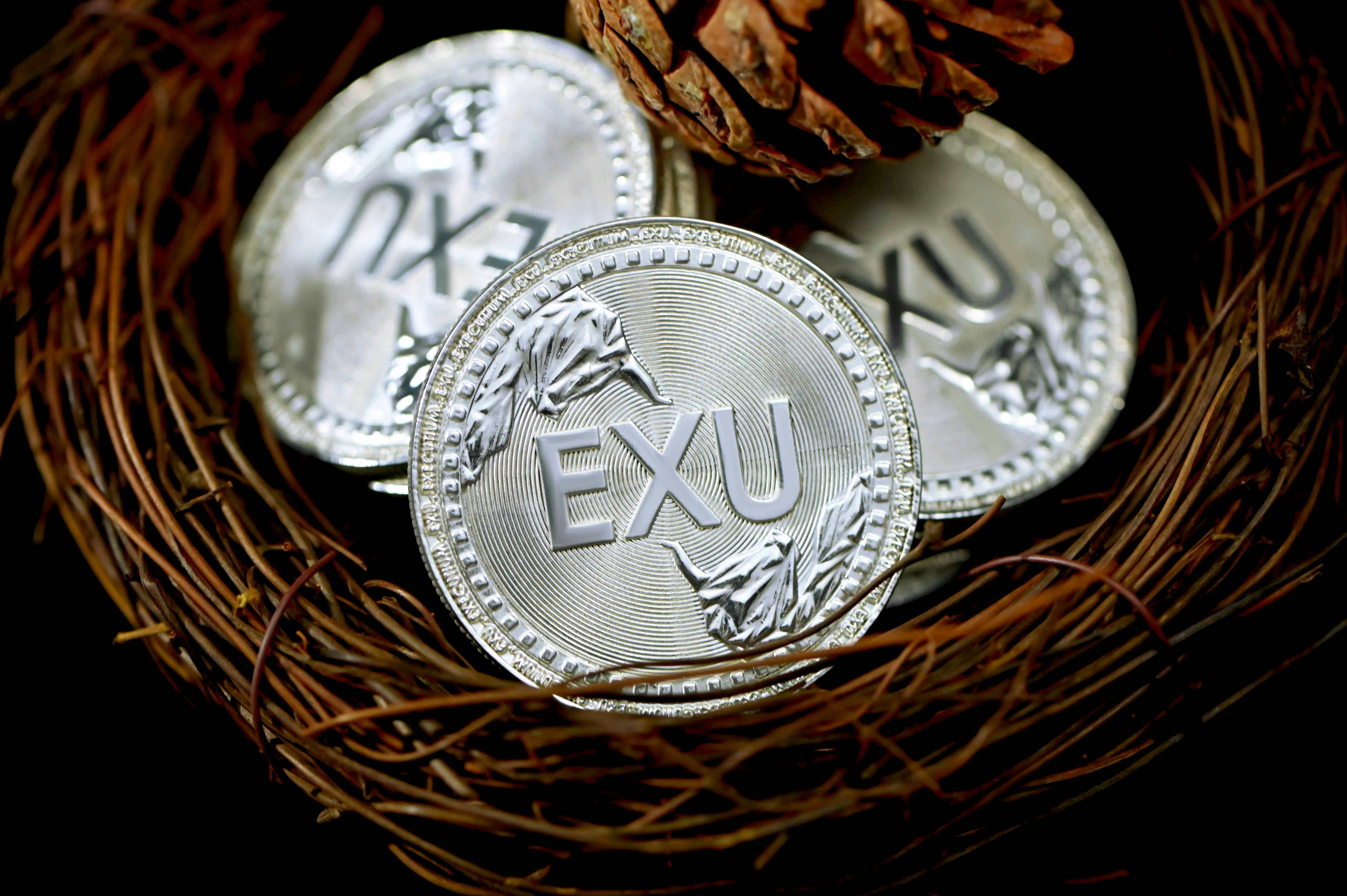silver round coin on brown woven basket