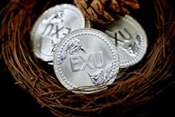 Three silver coins embossed with the letters 'EXU' are placed in a nest made of twigs. A pine cone is positioned near the coins, adding to the rustic and natural setting.