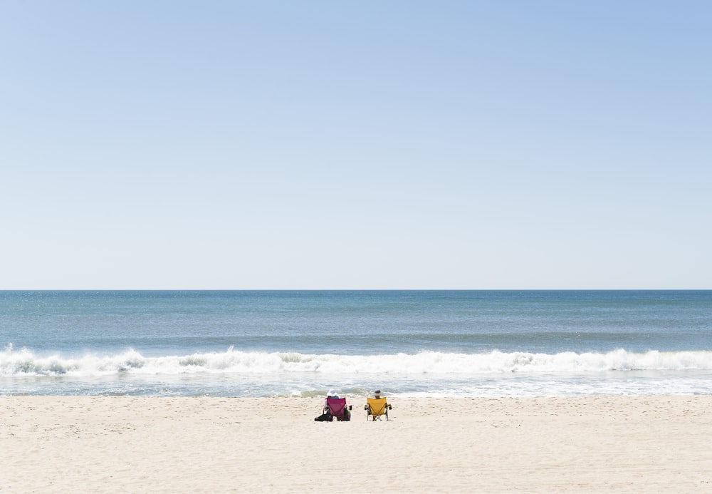 people on beach during daytime