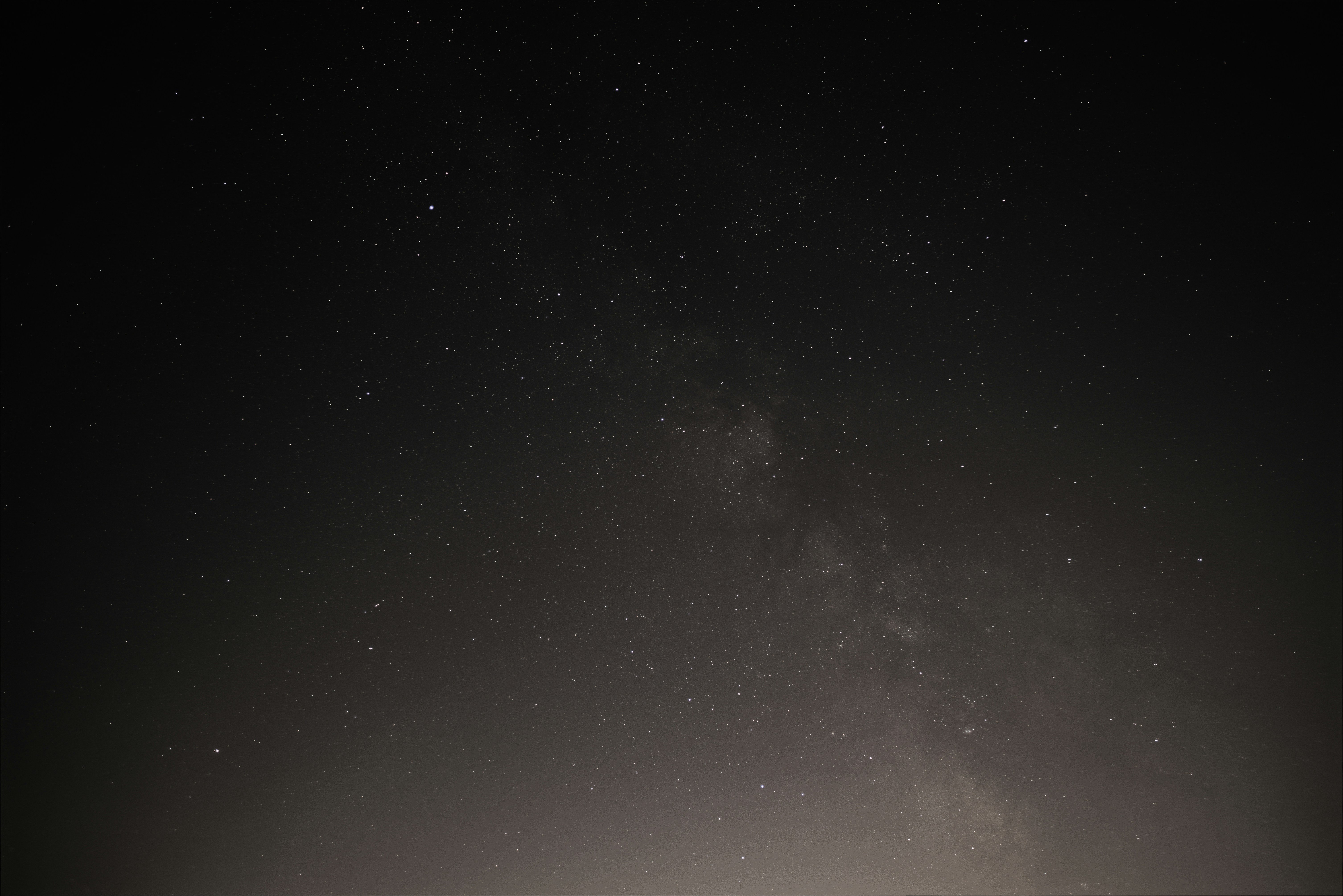 Photo by ludovico_bee