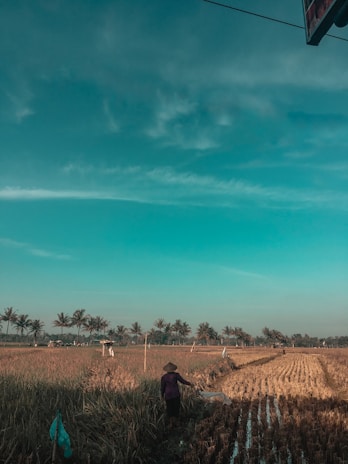 Smiling Indonesian farmer harvesting sap from a tall sugar palm tree in a sunlit forest.