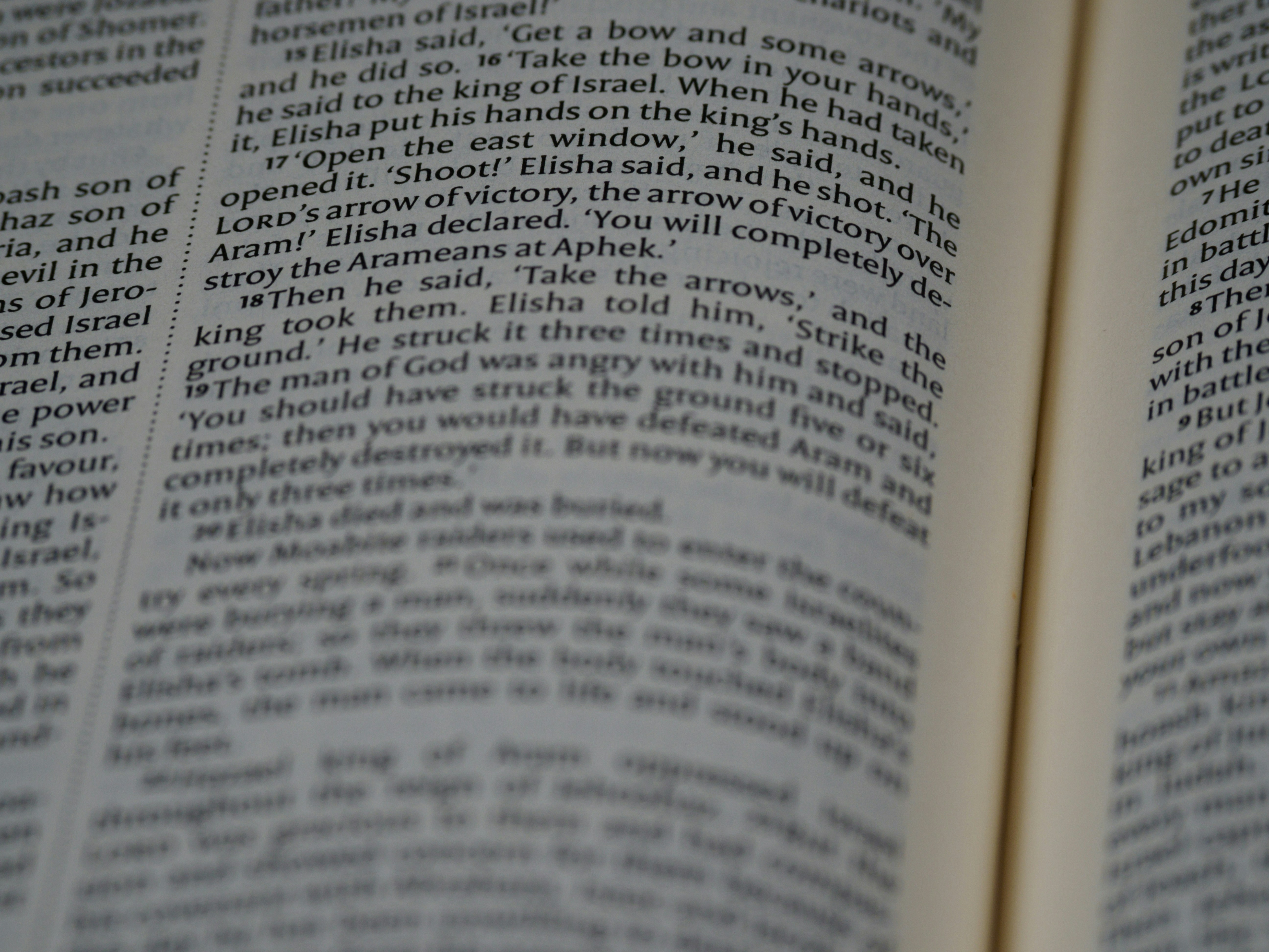 Photo by brett_jordan