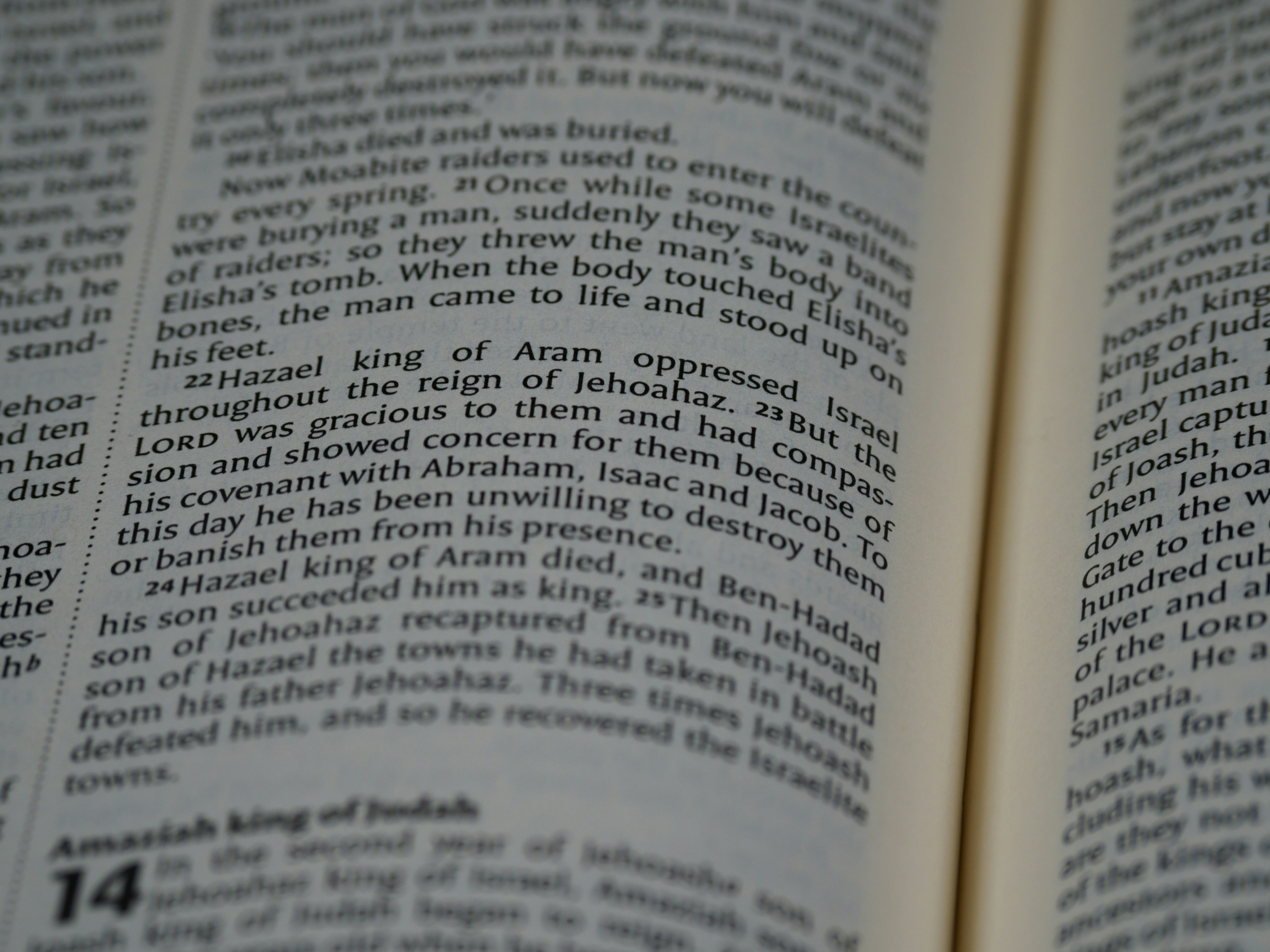 Photo by brett_jordan