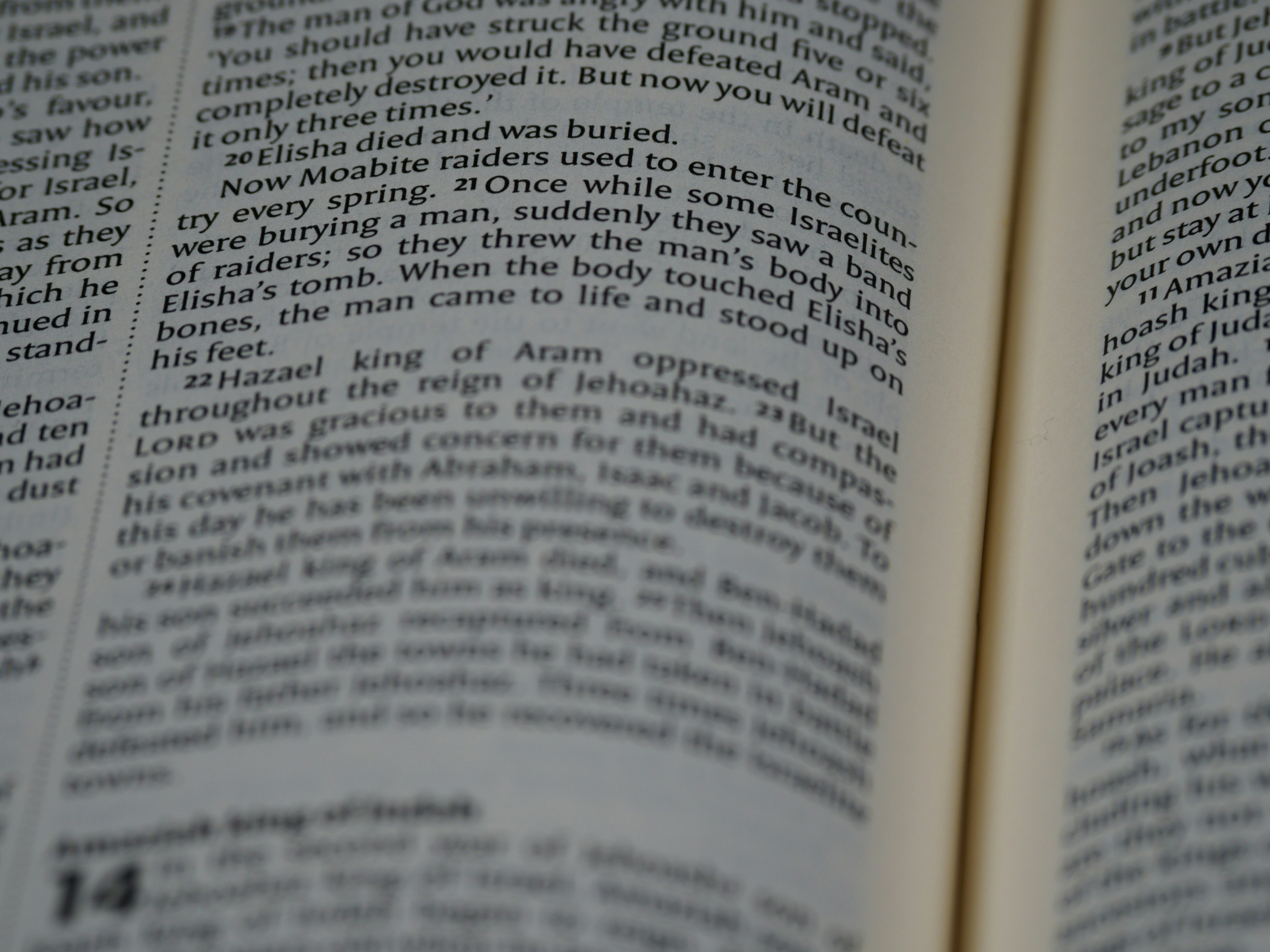 Photo by brett_jordan