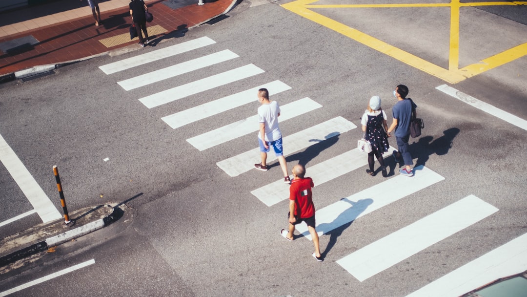 people walking on pedestrian lane during daytime