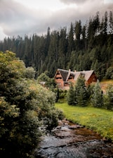 Cozy wooden cabin surrounded by lush greenery next to a flowing river.