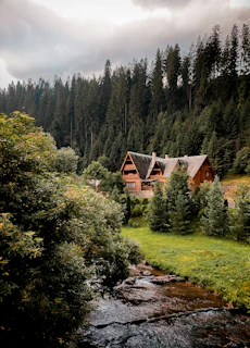 A cozy wooden homestay nestled beside a gently flowing mountain river under tall pine trees.