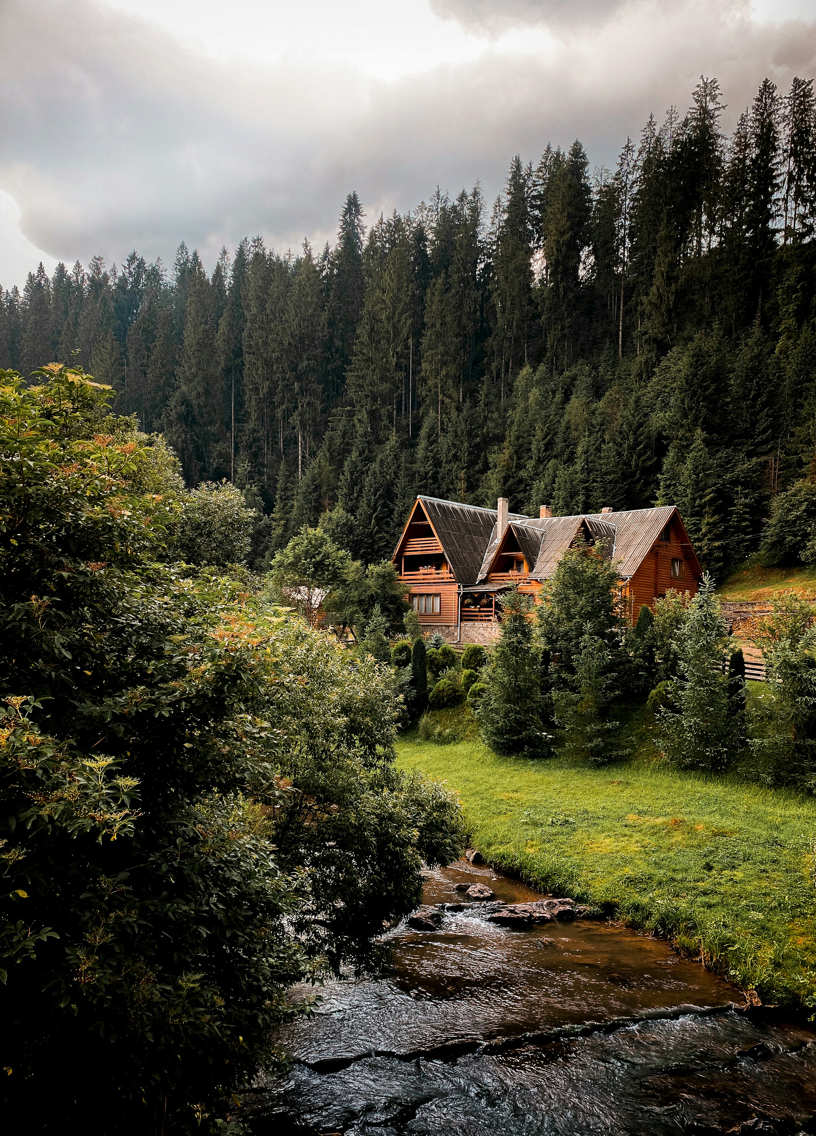 brown wooden house in the middle of forest
