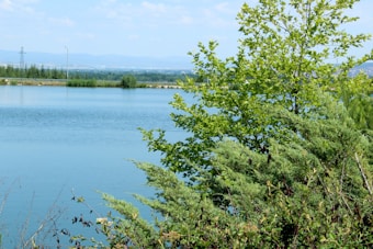 A serene lake with calm, blue waters is surrounded by lush green vegetation. Trees and shrubs in the foreground frame the scene, with distant hills visible on the horizon. The setting conveys a sense of tranquility and natural beauty.